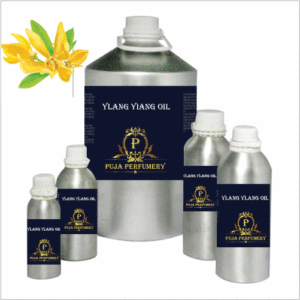 Buy Ylang Ylang essential oil online