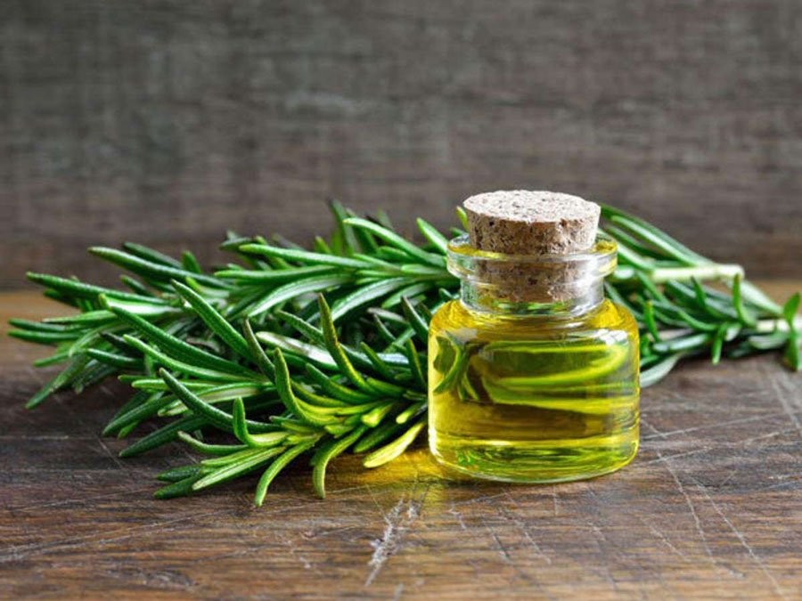 rosemary essential oil in India