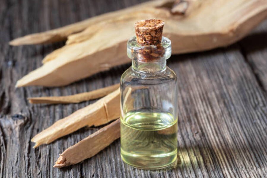 Benefits of Sandalwood Essential Oil - Puja Perfumery