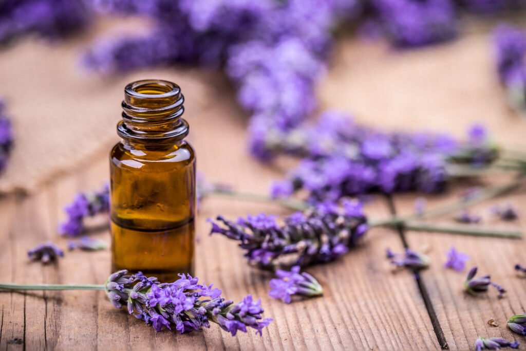 Peppermint and Lavender Essential Oil for Hair, Diffuser, Sleep, Face –  Shudh Online