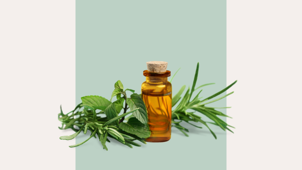 importance of essential oils