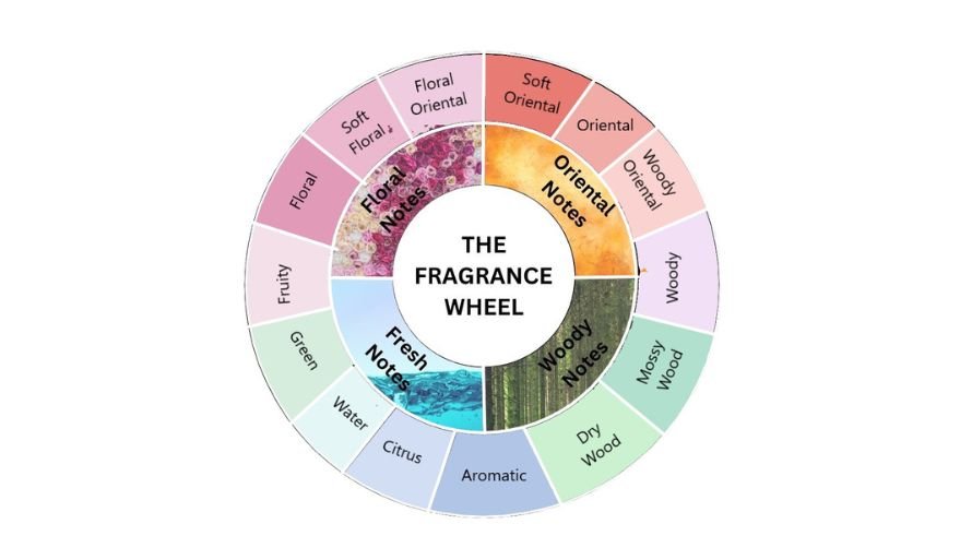 Fragrance Wheel  How to Shop by Scent for Essential Oils You'll