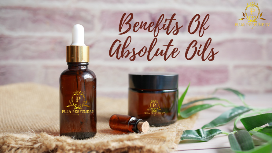 Best absolute oils in India