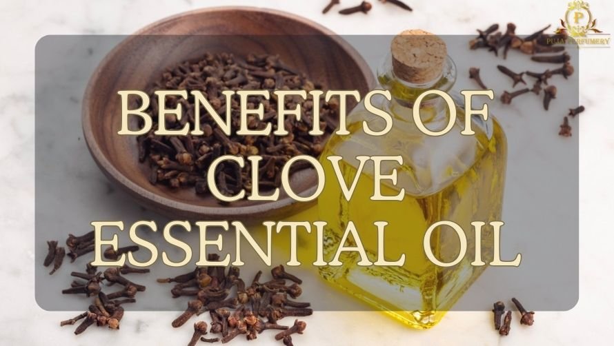 benefits of clove essential oil