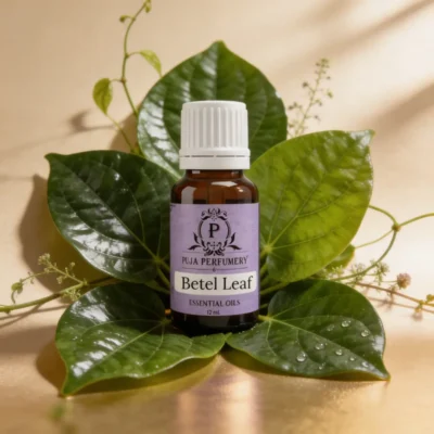 Betel Leaf Essential Oil | 100% Pure Oil | Kannauj