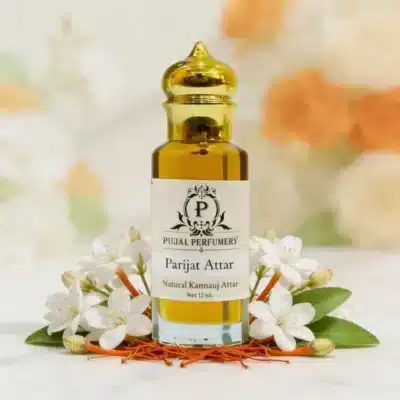 Parijat Attar