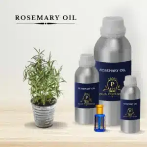 Rosemary essential oil in kannauj