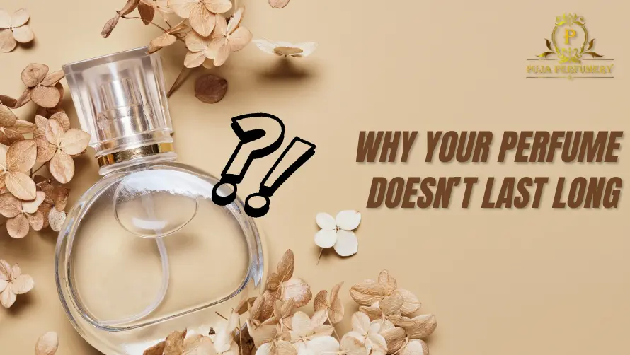 Why Your Perfume Doesn’t Last Long
