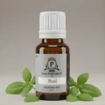 Basil Essential Oil | Aromatherapy Oils | Kannauj