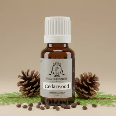 Cedarwood Essential Oil | Meditation Oil | Kannauj