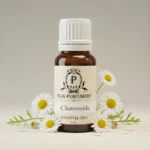 Chamomile Essential Oil | Massage Oil | Kannauj