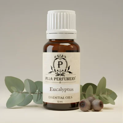 Eucalyptus Oil | Diffuser Oils | Kannauj