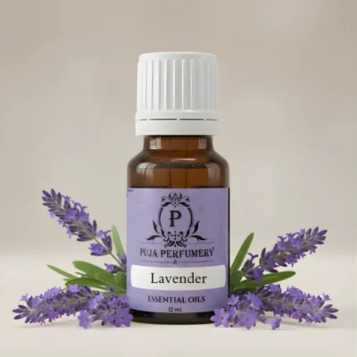 Lavender Essential Oil | Meditation Oil | Kannauj