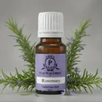 Rosemary Essential Oil | Massage Oil | Kannauj