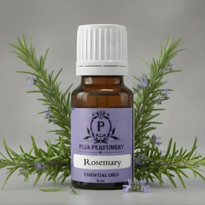 Rosemary Essential Oil | Massage Oil | Kannauj