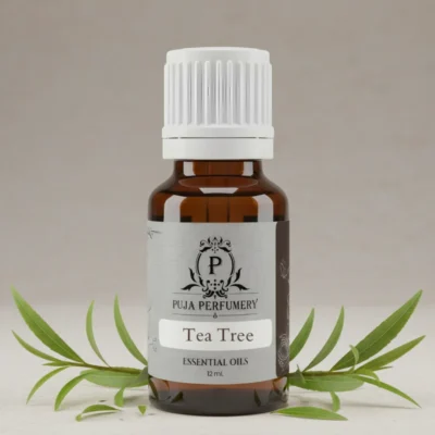 Tea Tree Oil | Therapeutic Grade Oil | Kannauj