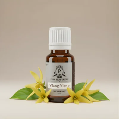 Ylang Ylang Essential Oil | Massage Oil | Kannauj